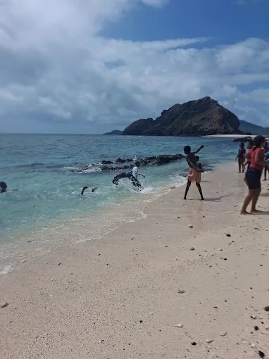 Baignade sur une plage face à un îlot