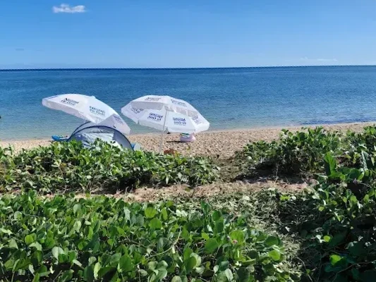 Parasols sur une plage sauvage