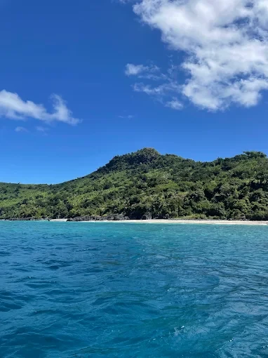 Île verdoyante vue depuis le large